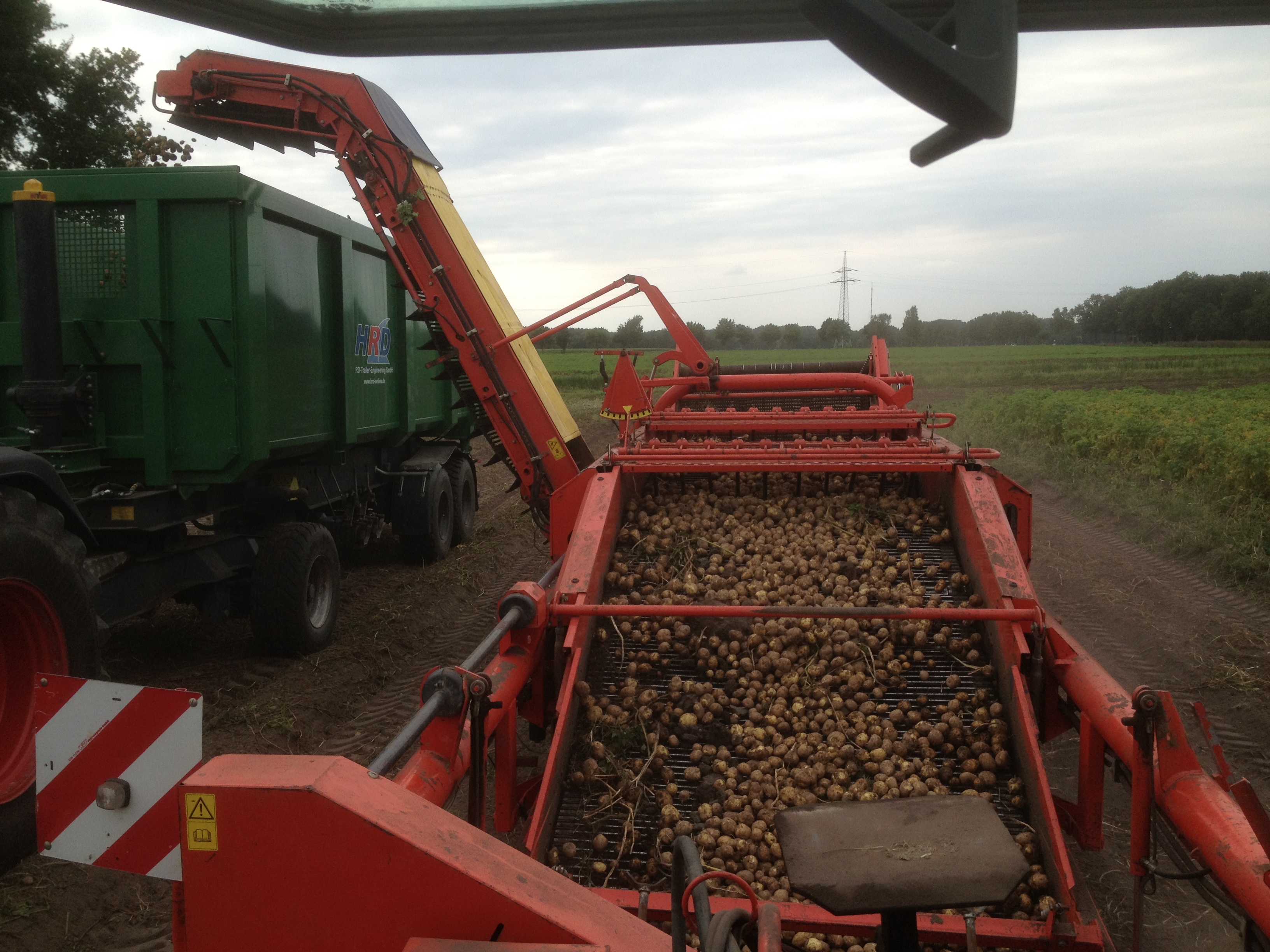 Kartoffelernte