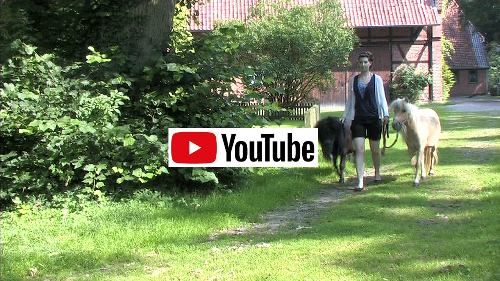 Ponys rausbringen