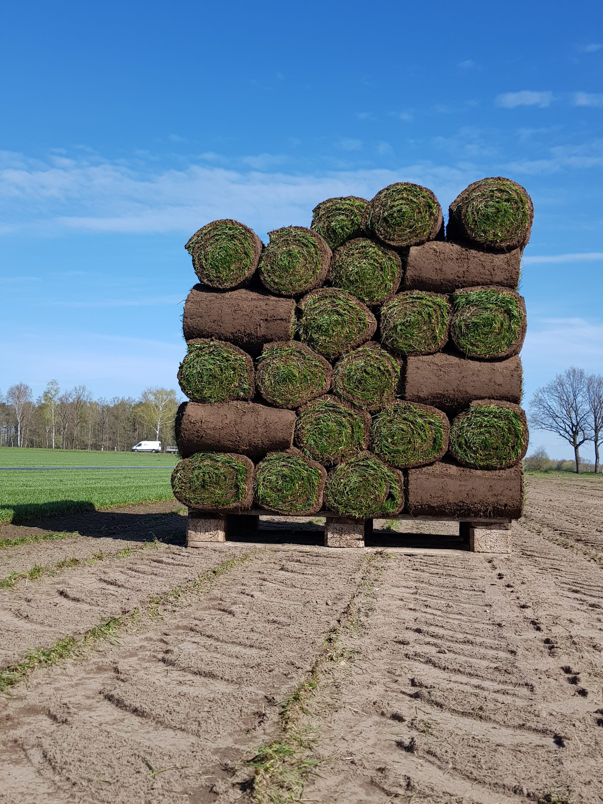 Rollrasen auf der Palette