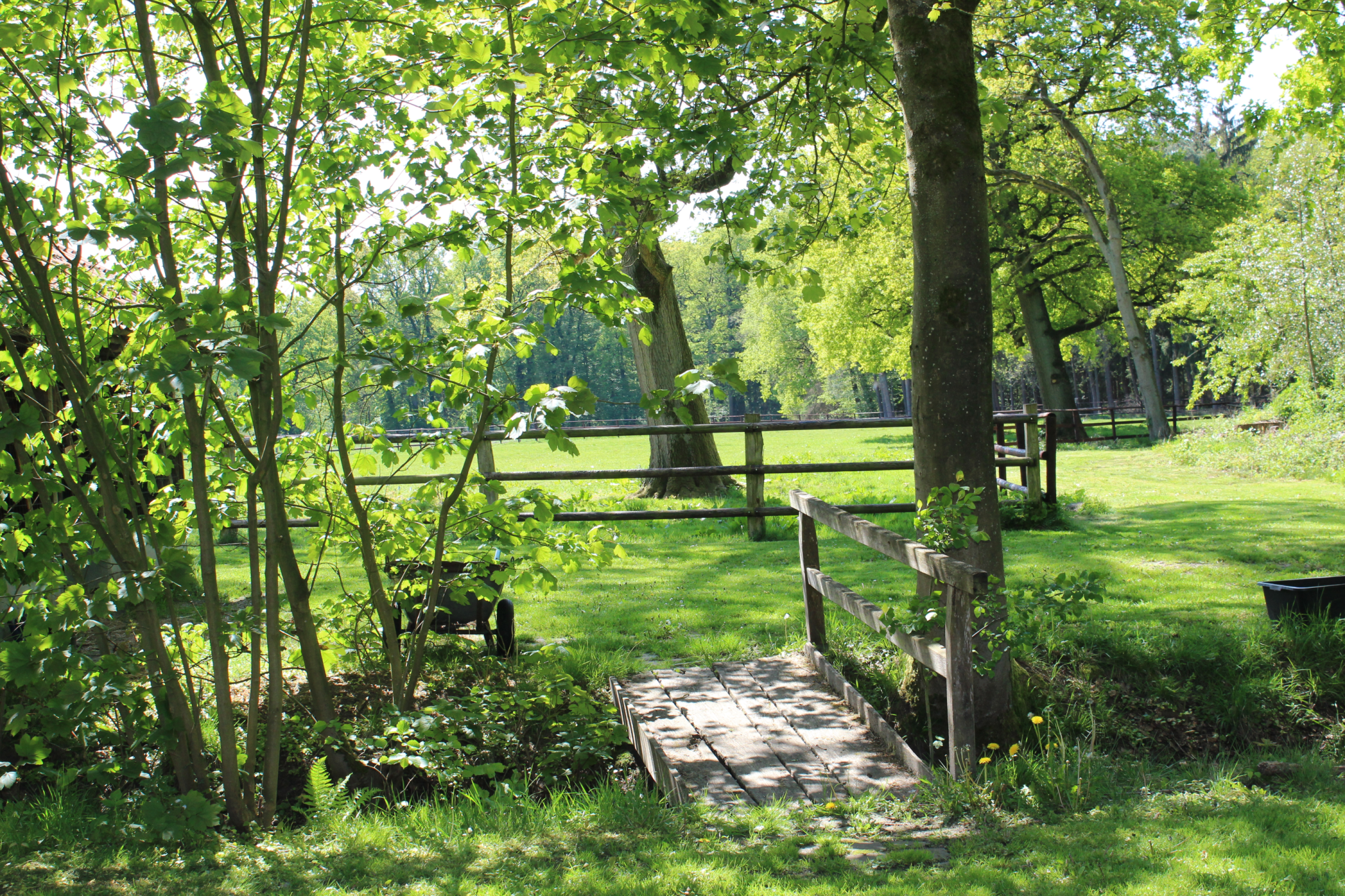 Brücke richtung Hasenstall