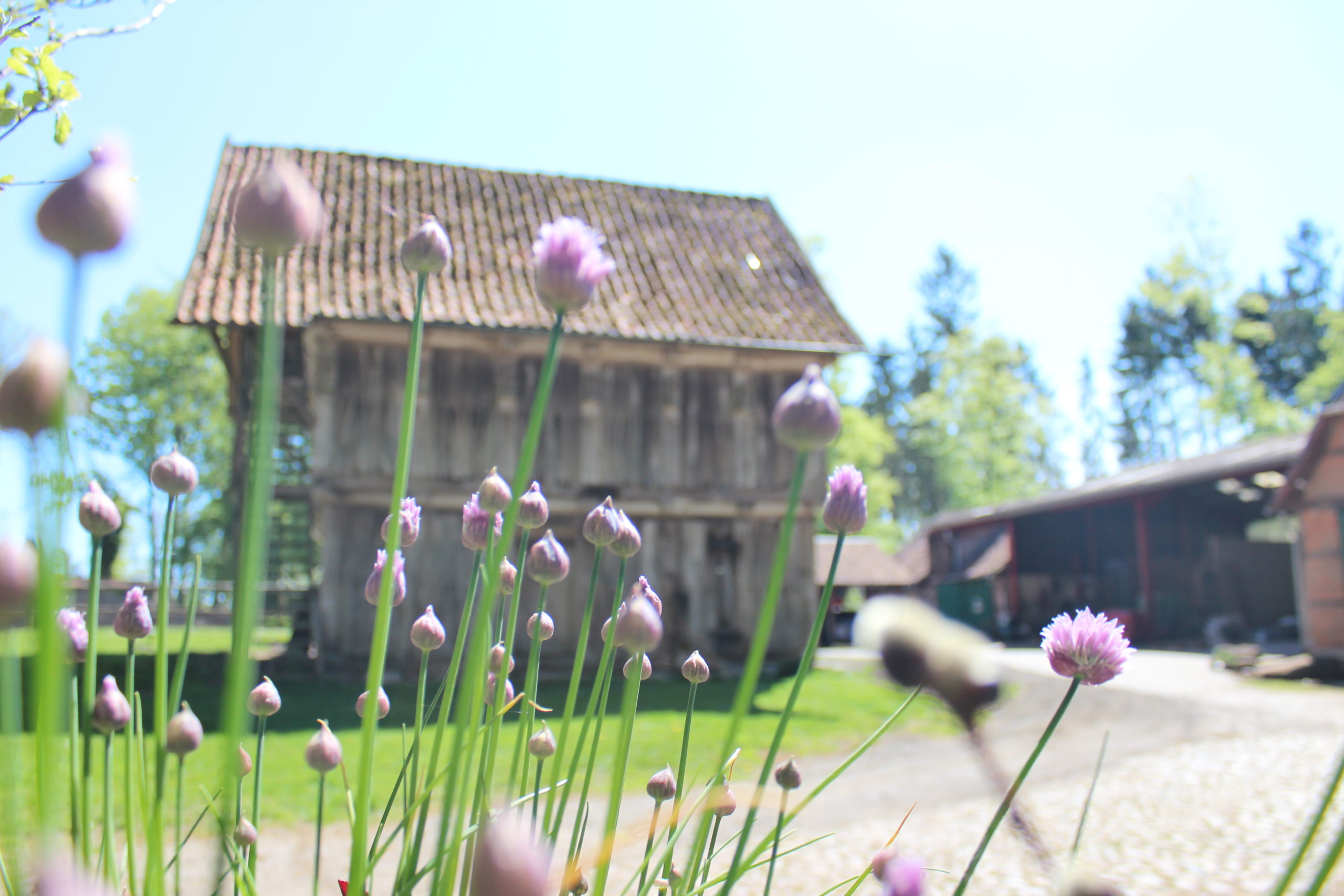 Der Speicher und Blumen