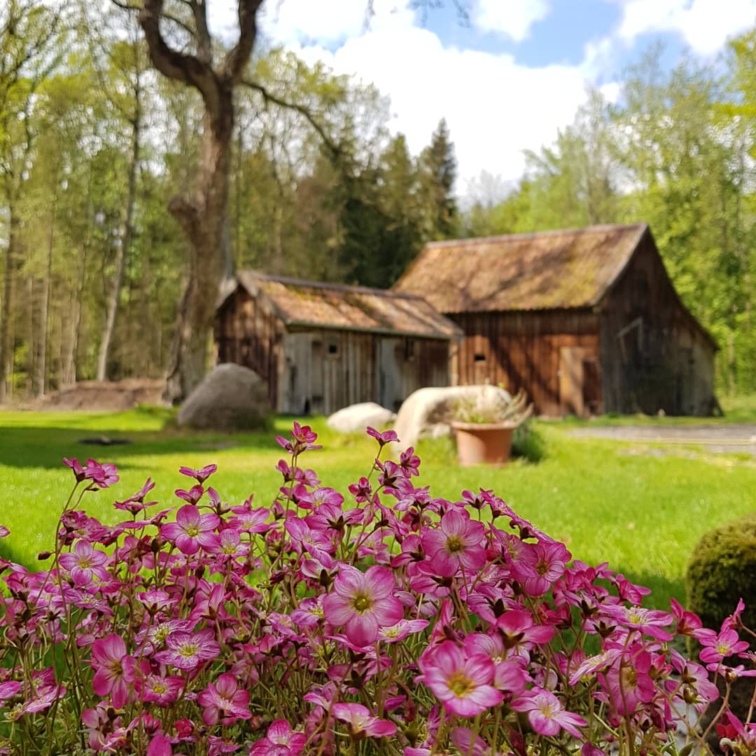 Der alte Hünerstall